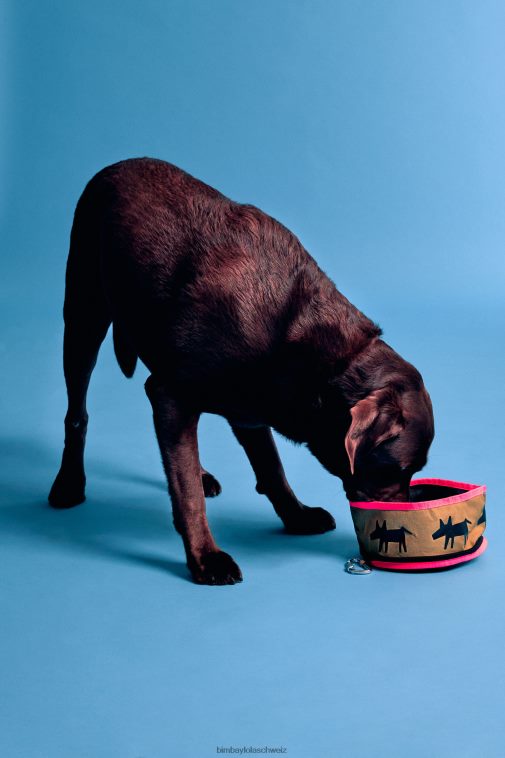 Bimba Y Lola Wassernapf für Haustiere mit Logo khaki Zubehör T04ZZ969